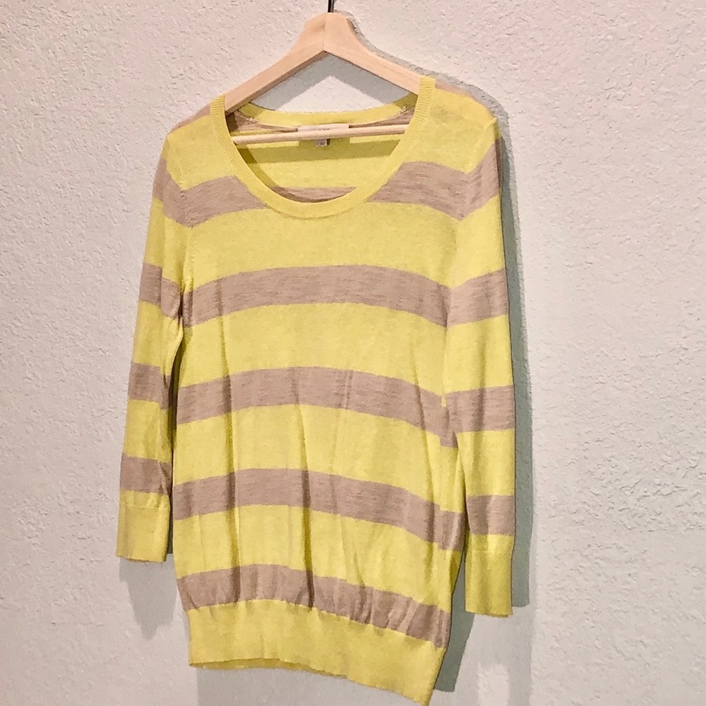 LOFT Crew Neck Sweater